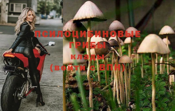 таблы Белоозёрский