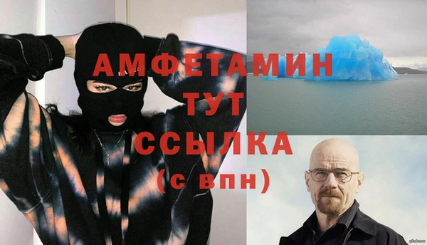 мдпв Богданович