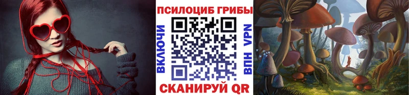 Галлюциногенные грибы Psilocybe хочу Бодайбо
